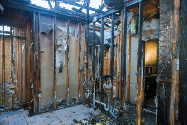 Professional Fire Damage Cleanup technician working in Millstone Township, NJ
